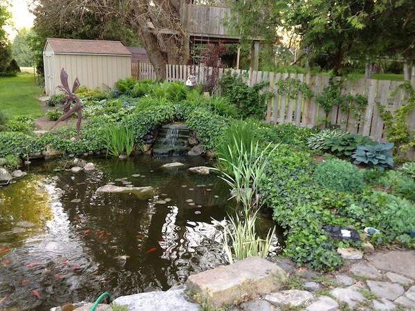 Pond for kids with fish in backyard