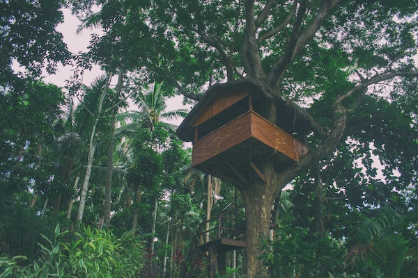 Treehouse in a backyard