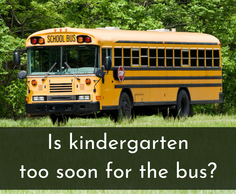 Can Kindergarteners Ride The School Bus According To Teachers Experts 