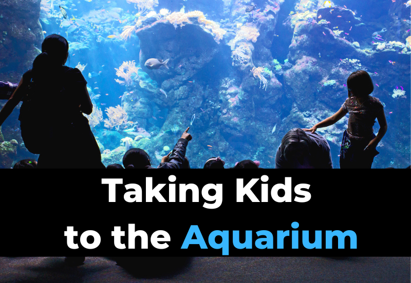 Complete Guide To Taking Kids, Babies & Toddlers To The Aquarium