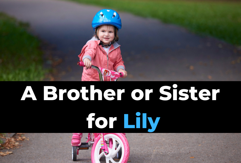 50-perfect-sibling-names-brother-or-sister-for-lily