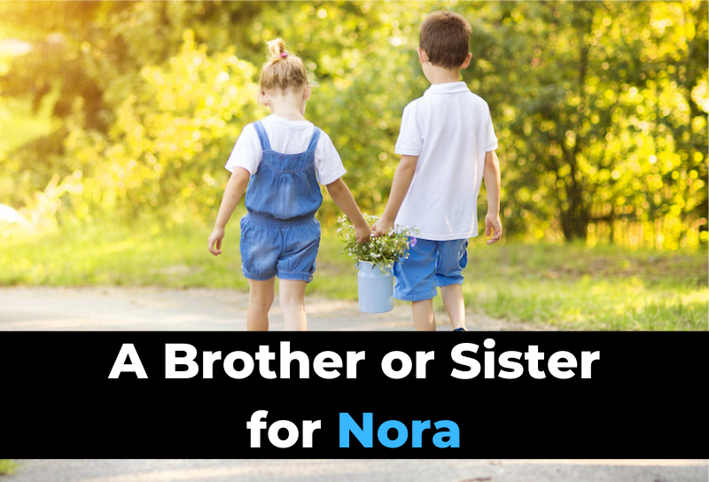 50-perfect-sibling-names-for-nora-brother-or-sister-dad-fixes