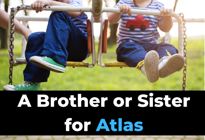 Sibling Names Atlas 