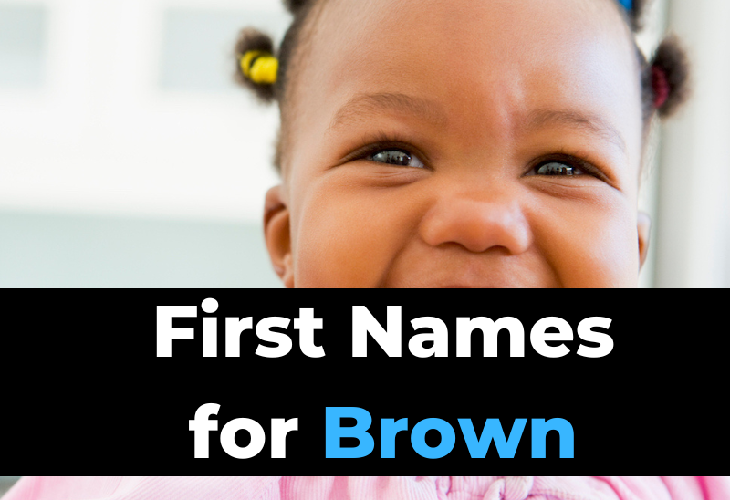 What To Name A Brown Dog